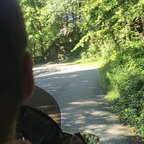 Meet your Posher, Cyle - Picture 2 of 2